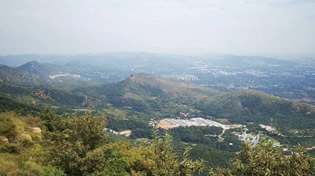 資質榮譽